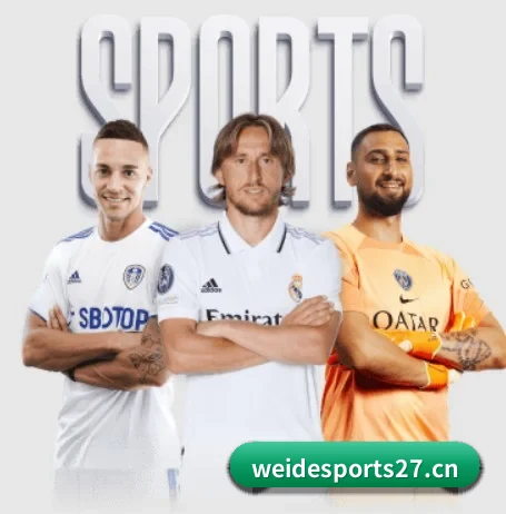 五大服务分区,信息按项目分类(WEIDE SPORTS)